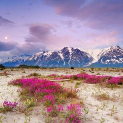 Alaska Wallpaper: Moon Over Alaska Wallpapers Primary School