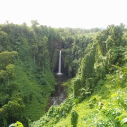 Scenes from Samoa via Seniors: The South