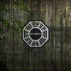 Dharma Lost TV Show wallpapers