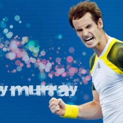 Andy Murray [3] wallpapers