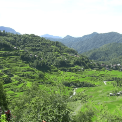 Banaue rice terraces, Philippines Stock Video Footage