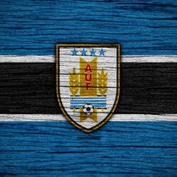 Download wallpapers 4k, Uruguay national football team, logo, North