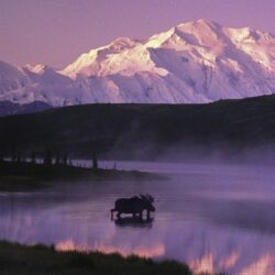 Fonds d&Alaska : tous les wallpapers Alaska