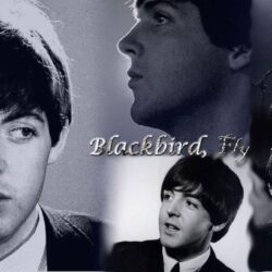 Paul McCartney Wallpapers I by beeeatle