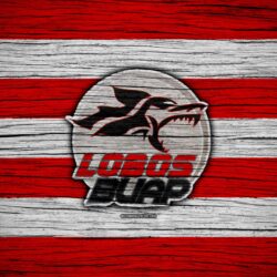 Download wallpapers Lobos BUAP FC, 4k, Liga MX, football, Primera