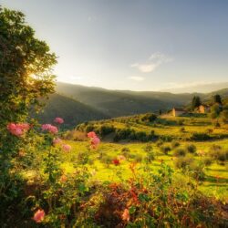 Free Tuscany Wallpapers
