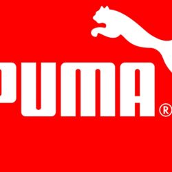 4K Ultra HD Puma Wallpapers HD, Desktop Backgrounds
