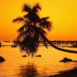 Florida keys nature silhouettes sunset wallpapers