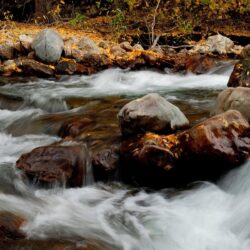 Rivers: Stone Water Nature River Rivers Wallpapers for HD 16:9 High