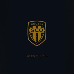 Angers SCO Wallpapers 2