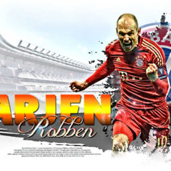 Robben Wallpapers