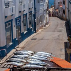 HD wallpaper: portugal, lagos, street, fish, old street