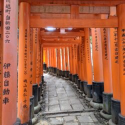 Free stock photo of Fushimi Inari