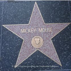 Hollywood Walk of Fame: Can you find your favorite star