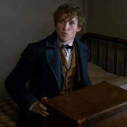 Fantastic Beasts and Where to Find Them Movie Wallpapers 03