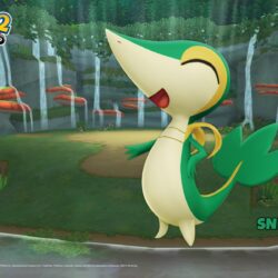 Pokemon Snivy Wallpapers Group