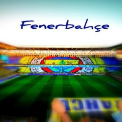 trololo blogg: Fenerbahçe Amblemi Wallpapers