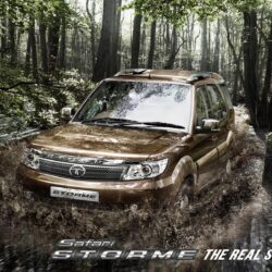 TATA MOTORS Safari Storme specs & photos