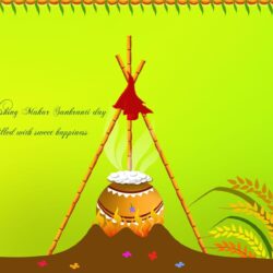 Happy Makar Sankranti HD Wallpapers & Makar Sankranti MessagesGet