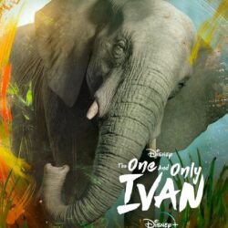 The One and Only Ivan Poster 6: Extra Large Poster Image
