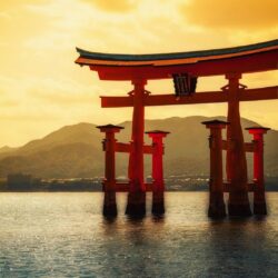 Gate sunlight torii seascapes japanese itsukushima shrine