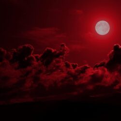 Free Download Red Moon HD Wallpapers And Backgrounds