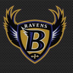 Baltimore Ravens and Orioles Wallpapers