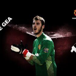 Manchester United David De Gea wallpapers and image