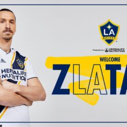 LA Galaxy Confirm Ibrahimovic Signing, Swedish Star Excited