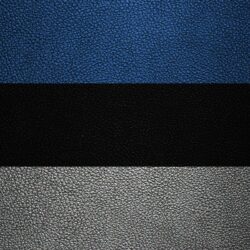 Download wallpapers Flag of Estonia, 4k, leather texture, Estonian