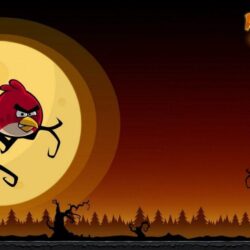19 Angry Birds HD Wallpapers