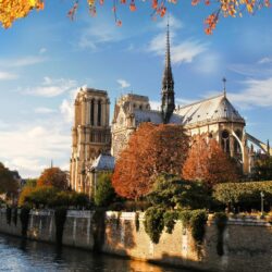 Wallpapers autumn, bridge, nature, the city, river, France, Paris