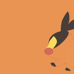 Tepig Wallpapers 47942 px