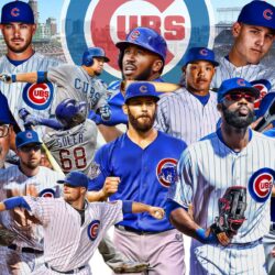 258 best Chicago Cubs image