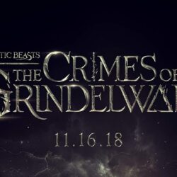 Fantastic Beasts The Crimes of Grindelwald 2018 Poster Wallpapers