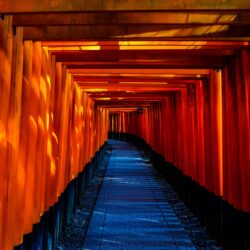 fushimi inari taisha, japan, temple, torii 4k wallpapers and backgrounds