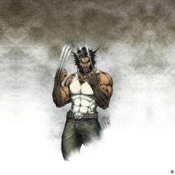 Wolverine Wallpapers Hd