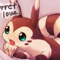 Furret Is Love, Furret Is Life