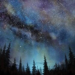 Download Meteors, Trees, Sky, Night, Falling Stars
