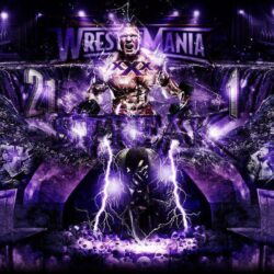 Brock Lesnar Undertaker wallpapers