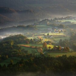 nature, Mist, Landscape, Fall, Sunrise, Villages, Forest, Morning