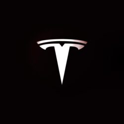 Tesla Motors Logo Art