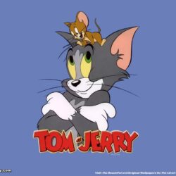 34+ Tom And Jerry Wallpapers, HD Tom And Jerry Wallpapers and
