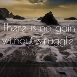1174 martin luther king jr quote there is no gain without struggle