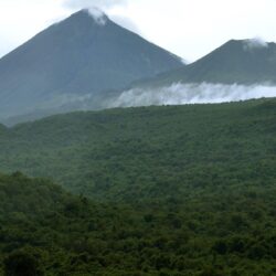 Democratic Republic of Congo signs deal to protect rainforest