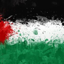 Download Wallpapers Palestine, Background, Texture