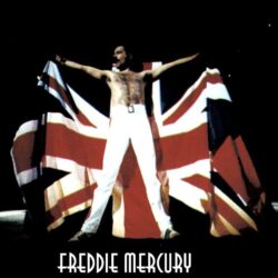 Freddie Mercury Wallpapers