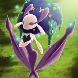 Florges Pokemon Wallpapers Image