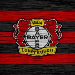 Download wallpapers Bayer Leverkusen, 4k, Bundesliga, logo, Germany