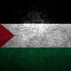 60125 Palestine Flag Wallpaper, Flag Wallpapers